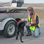 Boat inspection stations are expected to be active in Alberta this summer because zebra and quagga mussels destroy native aquatic ecosystems and could potentially clog municipal water treatment infrastructure and irrigation systems. | File photo