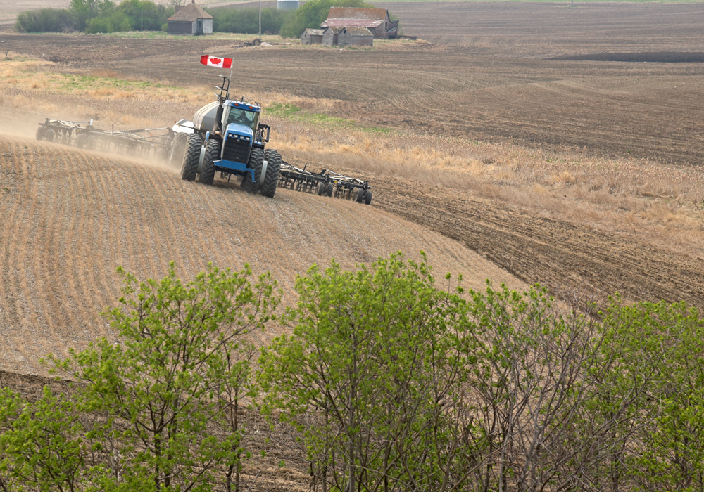 Grain farmers, depending on size, location and luck, might have fairly large AgriInvest deposits or none at all. | File photo