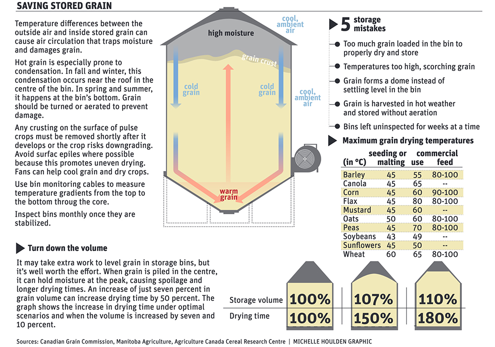 Bad grain increases bin risks