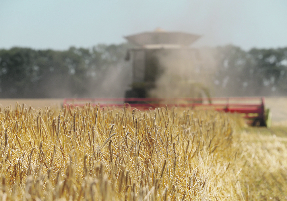 The Ukrainian barley crop’s struggles are mildly good news for Canadian farmers, but it’s not expected to have a profound impact on prices. But it does mean there will likely be fewer choices in the global marketplace.  | Reuters/Valentyn Ogirenko photo