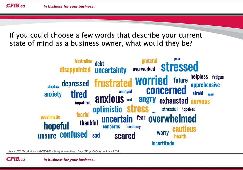 In weekly surveys of its members, the CFIB has found increasing levels of stress among farmers. Livestock producers are obviously affected by slaughter plant shutdowns and slowdowns, but stress has been rife in farm country for months.  | Screencap via CFIB.ca