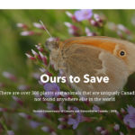 This country has 308 endemic plant and animal species, those that are found nowhere else in the world. Of those, the Prairies are home to 121 of them and British Columbia alone harbours 105. | Screencap via natureconservancy.ca