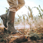 Too many choices to make can be overwhelming for farmers because they can cause confusion, take too much time to explore and provoke anxiety. | Getty Images