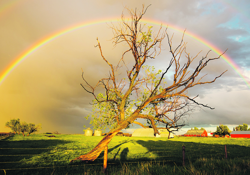 A “digital divide” in Canada makes it harder for rural residents to stay connected, panelists say, which has created more isolation from society and the economy.  |  Mike Sturk photo