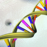 NRGene is a genomics and data analytics company that focuses on reducing the time and cost involved in developing new crop varieties. | Reuters photo