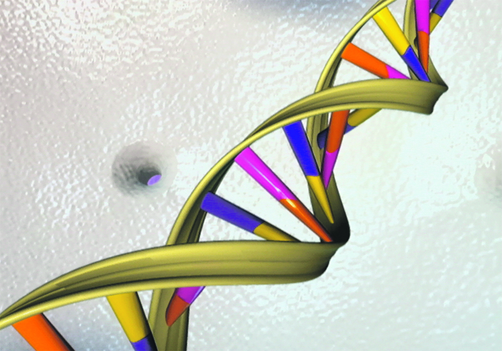 NRGene is a genomics and data analytics company that focuses on reducing the time and cost involved in developing new crop varieties.  |  Reuters photo