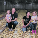 Tori, left, Jesse, Elise and Leah Coleman spend time in their barn on the morning a new batch of chicks arrive. | Coralie Spratt photo