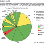 Uncertain wheat demand hangs over market