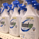 The company said it will make a payment of $8.8 billion to $9.6 billion to resolve the current Roundup litigation - including an allowance expected to cover unresolved claims - and $1.25 billion to support a separate class agreement to address potential future litigation. Bayer did not admit liability or wrongdoing. | File photo