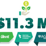 AGT Food and Ingredients from Regina and Saskatoon-based ulivit will use $11.3 million from Protein Industries Canada to process pea, lentil and faba protein concentrates into high moisture meat analogue, texturized pulse protein, tempeh, tofu, pasta and non-dairy analogues. | Screencap via Twitter/@proteinindcan