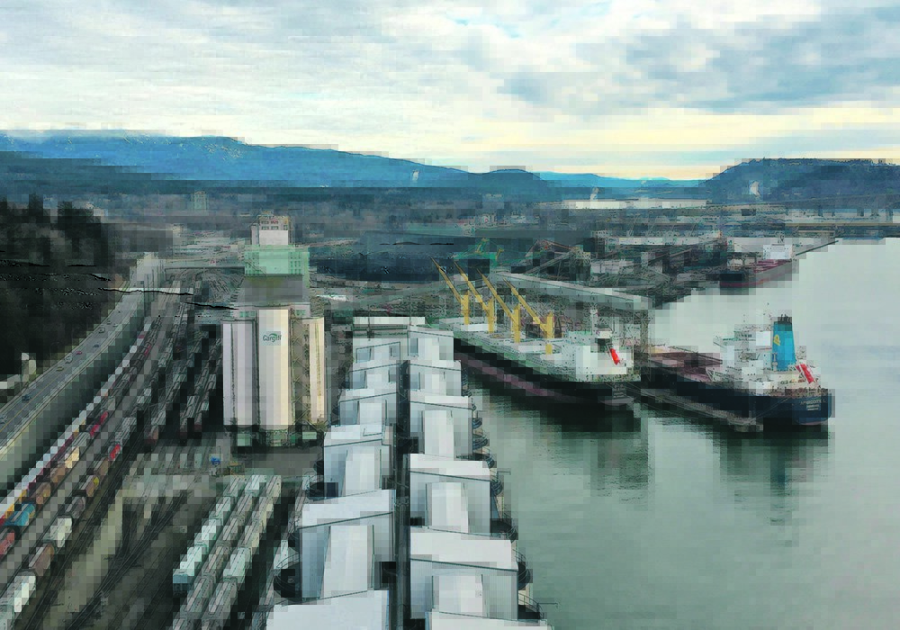 Export shipments of major Canadian grains including milling wheat, durum, canola and pulses have been steady since the COVID-19 pandemic knocked the wind out of other sectors of the Canadian economy.
 | File photo
