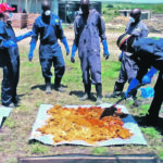 Leilah Krounbi, a former Cornell PhD student, used the Canadian Light Source to test the feasibility of using fertilizer derived from human waste for crop production. She is seen on the left-hand side helping to spread and sun-dry waste collected in latrines in Nairobi, Kenya. | Cornell University photo