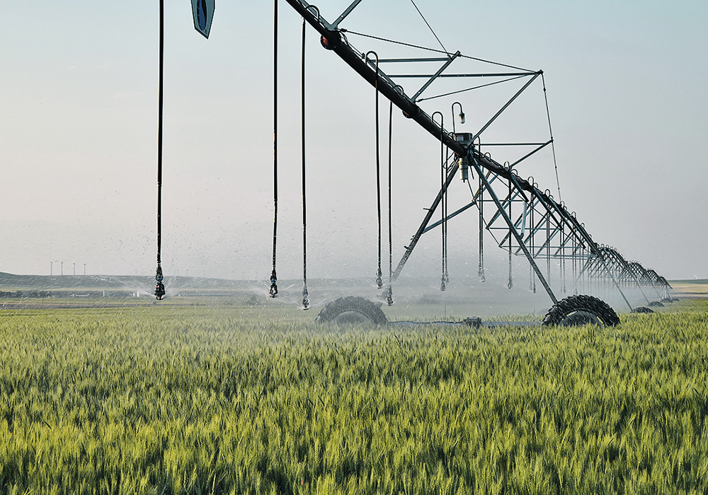 The Saskatchewan Irrigation Projects Association makes the case for expanding the province’s water network.  |  File photo