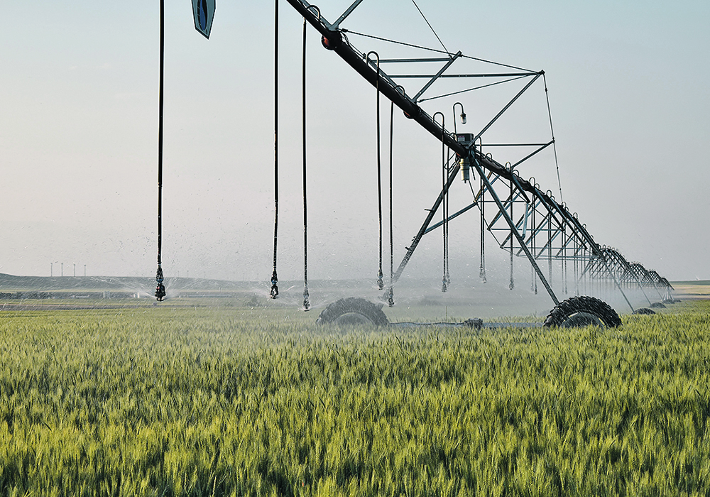 Sask Irrigation Proposal Defended The Western Producer 