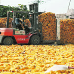 One analysis says China’s annual corn deficit is 25 to 40 million tonnes and that the country’s reserves will disappear in 2020. | Reuters photo