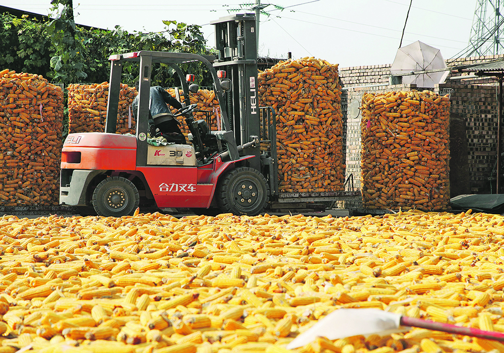 One analysis says China’s annual corn deficit is 25 to 40 million tonnes and that the country’s reserves will disappear in 2020.  |  Reuters photo