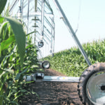 It was politics and a lack of long-term economic vision by successive governments that stopped irrigation implementation in Saskatchewan in the 1970s and kept it halted. It’s time to take this job off the Prairies’ to-do list. | File photo