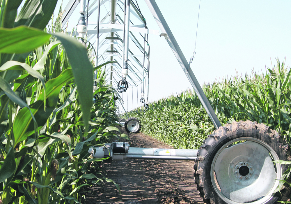 It was politics and a lack of long-term economic vision by successive governments that stopped irrigation implementation in Saskatchewan in the 1970s and kept it halted. It’s time to take this job off the Prairies’ to-do list. | File photo