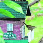 Wrens once made their nest in one of the author’s father’s work boots he had hung by the laces over the clothesline to dry. This house looks more comfortable. | Alma Barkman photo