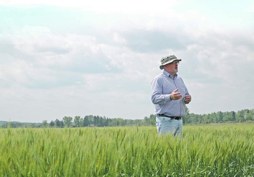 Kelly Turkington talks with producers about a new project that looks to figure out the best managment practices to reduce risks of fusarium.  |  Jeremy Simes photo