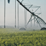 The Saskatchewan government has made irrigation a key focus of its agricultural vision, but it will also require a competitive tax and regulatory regime, a qualified labour pool, improved transportation , adequate support for technology development and improved trade infrastructure. | File photo