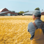Ottawa estimated changes made in May to expand the eligibility of the program would more than double the number of farms qualified to access the money, but two months later says it does not have statistics on agricultural producers who have successfully applied for the loans. | File photo