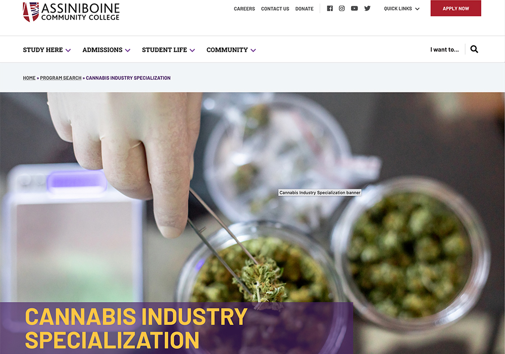 A community college in Brandon is now preparing students for careers in Canada’s cannabis industry.  | Screencap via assiniboine.net