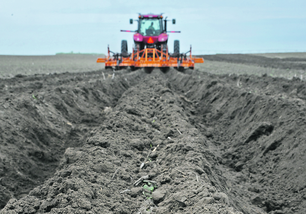 McCain Foods hopes to promote alternative potato farming methods such as regenerative agriculture.  |  File photo