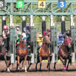 P: Horses burst out of the starting gate. | Randy Vanderveen photo