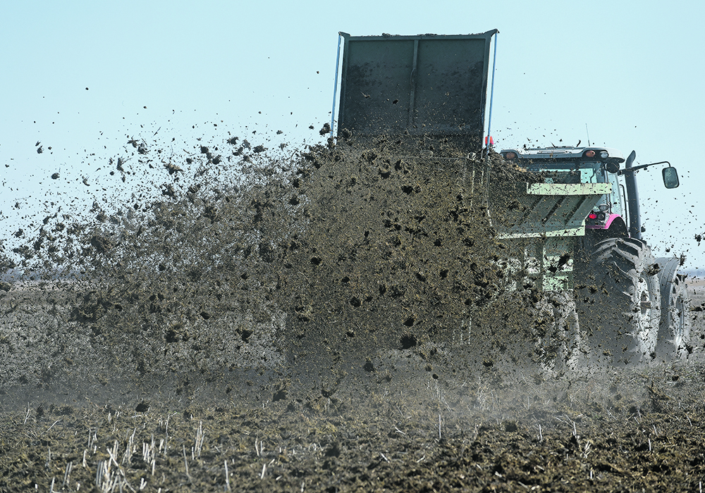 A major challenge with manure is distributing it over long distances between where it is produced and where it is needed. American scientists say that is where the concept of manuresheds can help.  |  File photo