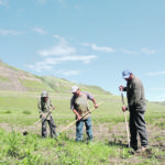 Canadian farms employed 60,000 temporary foreign workers last year. | File photo