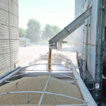The U.S. Department of Agriculture expects 425 million bushels of new crop ending stocks in 2020-21, down drastically from 795 million bu. a year ago. | Reuters/Daniel Acker photo