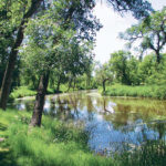 A good swimming hole would attract children from across the community. | Alma Barkman photo