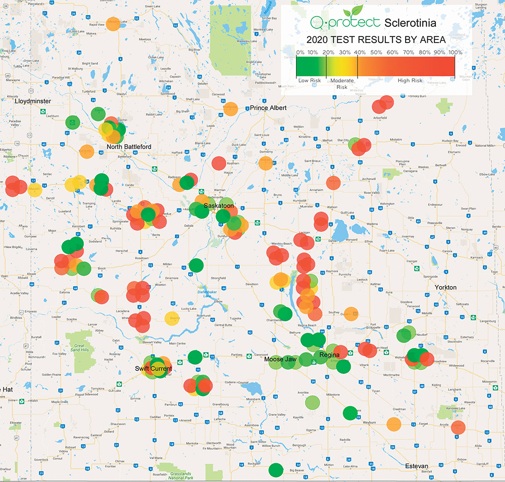 The Q-protect sclerotinia test by Quantum Genetix show mixed results in terms of disease risk in canola across Saskatchewan, even though weather conditions were favorable for sclerotinia.