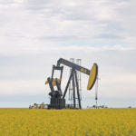 Palm oil and crude petroleum prices provided support for broadacre oilseed markets as they bounced back from pandemic lows, they but those supports appear to have stalled, awaiting further improvement in the global economy. | File photo