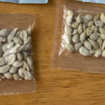 Canadian officials are continuing to investigate the origins and contents of mysterious, unsolicited seed packages that have been showing up unexpectedly in mailboxes in Canada and the U.S..| Reuters photo
