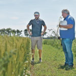 Mike Gretzinger, left, and Michael Harding discuss cereal leaf diseases within Farming Smarter test plots July 23 near Lethbridge. | Barb Glen photo