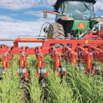The in-crop cultivator uses small cultivator shovels to reach weeds between the rows of crop. | Mary MacArthur photos