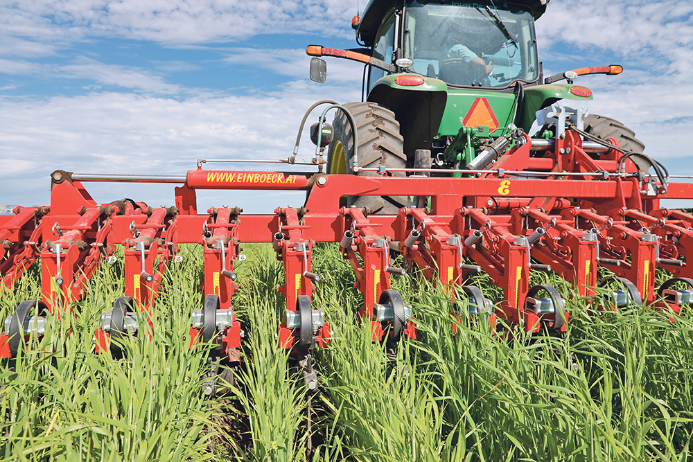 The in-crop cultivator uses small cultivator shovels to reach weeds between the rows of crop.  |  Mary MacArthur photos