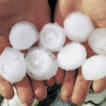 All three Prairie provinces have had more hail than normal this summer, and Saskatchewan has seen the most storms with durum crops taking the brunt of hail damage. | file photo