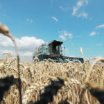 Drought hit parts of Europe, while wet conditons plagued others. Dryer times hit eastern areas such as where this combine harvests wheat near the village of Hrebeni in the north-central, Kyiv region of Ukraine July 17. | REUTERS/Valentyn Ogirenko photo