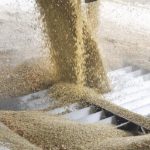 Jeff VanPevenage, president of Columbia Grain International, initially raised this concern with Canadian government and industry officials last fall and is now ringing the alarm bell once again.
| File photo