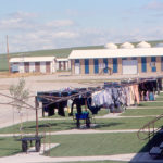 There are more than 370 of these communities in Western Canada with about 20 reporting the presence of the virus.
| Flickr.com/Roger W photo