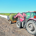 Ensiling bales is one way to preserve feed for cattle even when haying conditions are less than ideal. | Jeanette Greaves photo