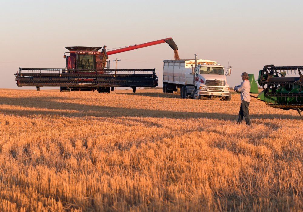 In southern Alberta and parts of southern Saskatchewan, combines were rolling as of late last week in fall-seeded cereal crops and a few early-desiccated pulses. | File photo