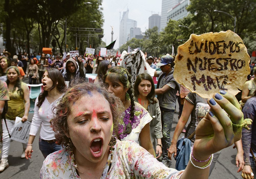 A demonstrator holds up a tortilla during a protest against glyphosate and genetic modification of crops in Mexico City in 2015. Public pressure on politicians to defy producer groups and scientic research has an effect on public policy in that country.  |  REUTERS/Ginnette Riquelme photo