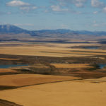 Do farmers understand the economics of owning land? | File photo