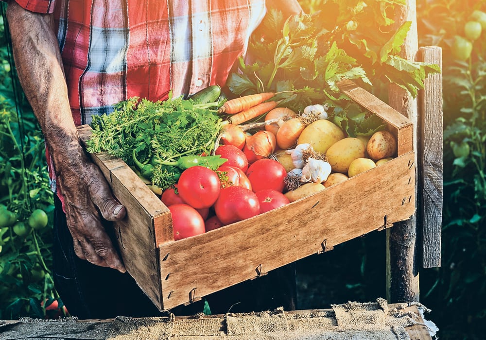 Farm financial data from the United States Department of Agriculture suggests profits are similar for organic and conventional producers. | Getty Images
