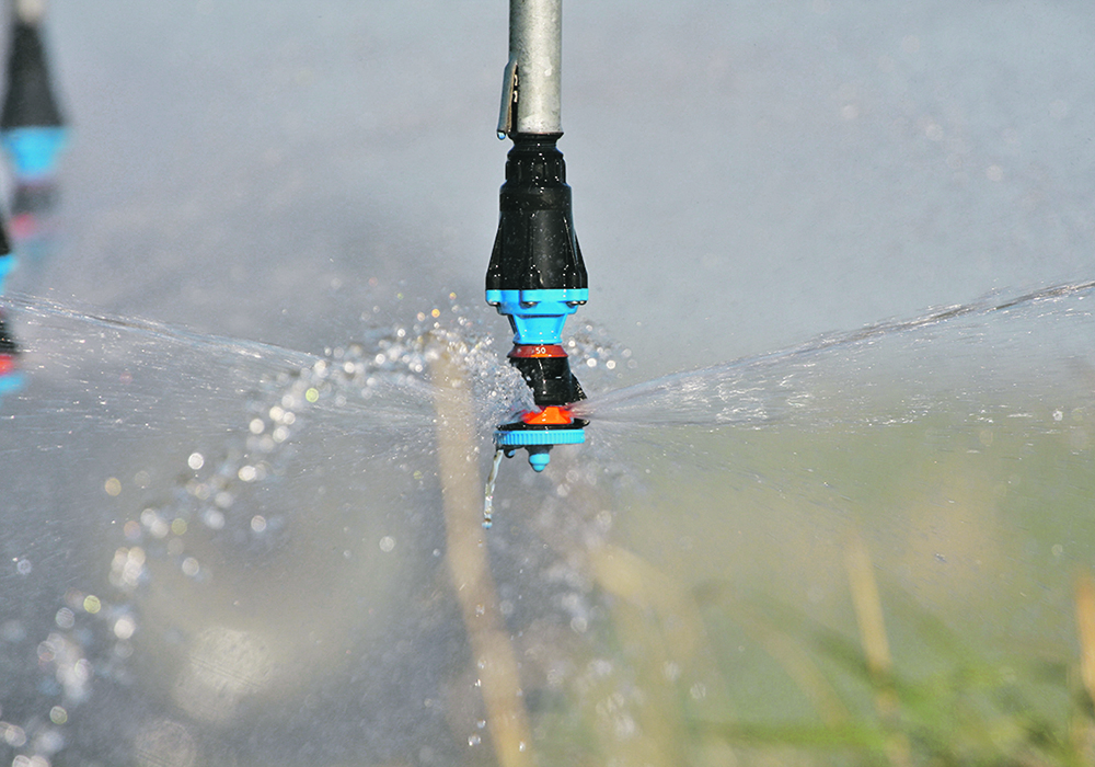 The Alberta government has earmarked $10 million for projects through the Irrigation Rehabilitation Program that has been in place since 1969. | File photo