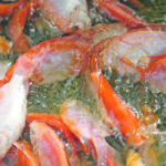 Aquaculture is a growing element of the global fish trade, and Canada is one of the major players. | Reuters/Manaure Quintero photo
